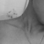 asian-beast18-blog