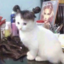 smelymonky