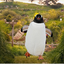 thehobbitasticpenguin