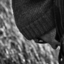 michaelraadtsphotographie