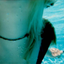 borntobeblue-blog-blog