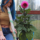 florallunderwear:  *makes flower crown out of cannabis*