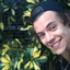 giraffehippieharry