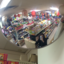 emilytpix