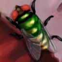 honeyinthewound avatar