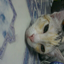 yingsone