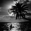 viversurfaramar-blog