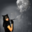 like-a-pretty-cat-blog