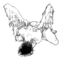 winged-boy-blog