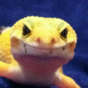 geck-conspiracy avatar