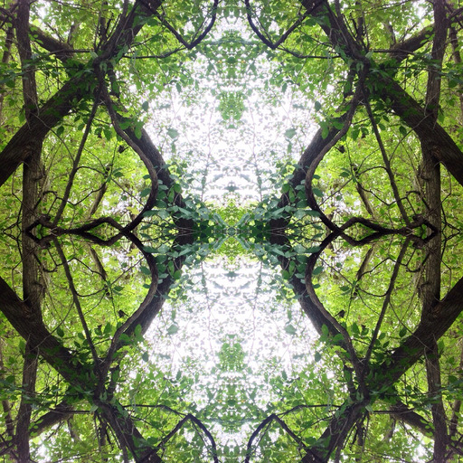 fractalunfoldment:  I release you so I may be freeI release you so I may riseI release you so I may thrive 