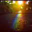 mullydawgy-blog