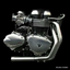 rider-camara