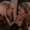 Misty Day & Cordelia Goode