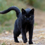 littlesalemwitchcraft