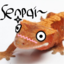 rainbowlizard666-blog