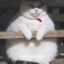 myhobbyissleeeping