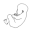 stillbyrth