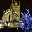 londonchristmas avatar