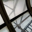 cesario-blog-blog
