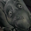 drownedanch0rs