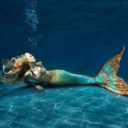 fortheloveofmermaids avatar