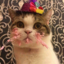 0hmeow