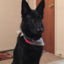 dukie344-blog
