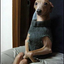yesthisisdog