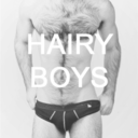 ilovehairyboys:  ilovehairyboys.tumblr.com