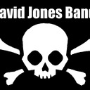 davidjonesband