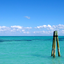 fishlines-blog