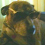 1bruiser12-blog