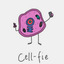 immuno-studies