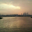 vidit03