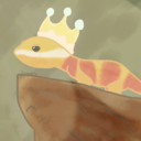 geckofromthegetgo avatar