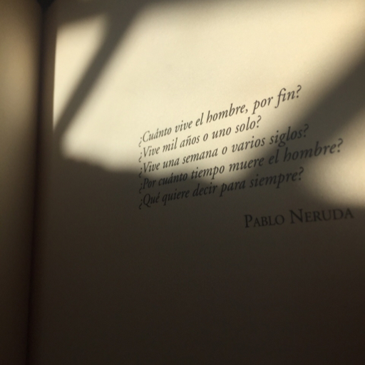 en-momentos-de-inspiracion:  estrellas-sin-color: Me haces sentir como en casa. Me haces sentir que el mundo no es extraño. Escritor de sueños   Eres mi lugar seguro 