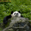 myinvalidreality-blog