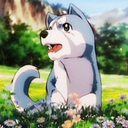 inactive-ginga-ask avatar