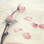 believinginhappilyeverafter