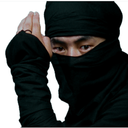 ninjahunter avatar
