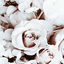 mentalbreakdown124