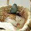sunday--afternoon