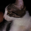 papag7613-blog