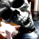 official-skeleton-war: