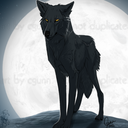 wolves235-blog avatar