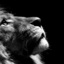 the-pursuit-of-love-and-loyalty