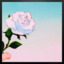 dramaticallyeatingpotatochi-blog