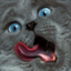 wuat
