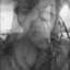 corascorazon-blog